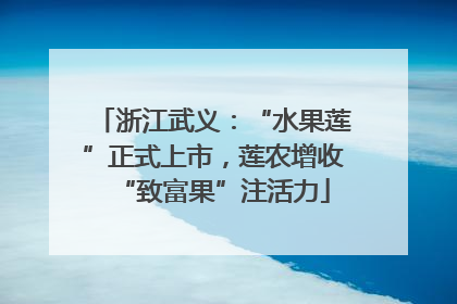 浙江武义：“水果莲”正式上市，莲农增收“致富果”注活力